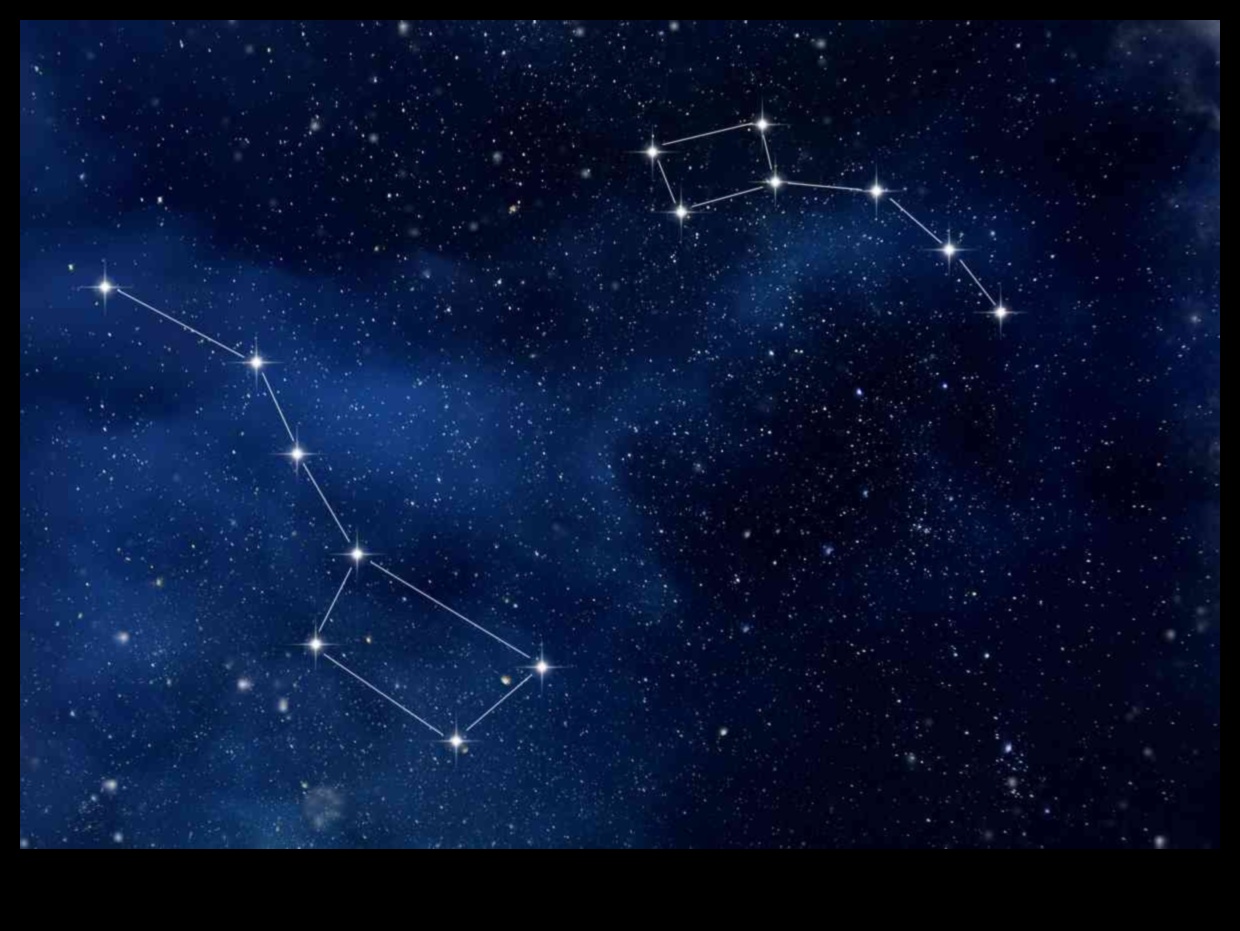 ניווט בנובה: המדריך שלך לגבולות חדשים