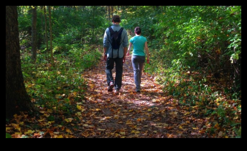 מסלולי עיירה: מדריך מטיילים לאטרקציות מקומיות