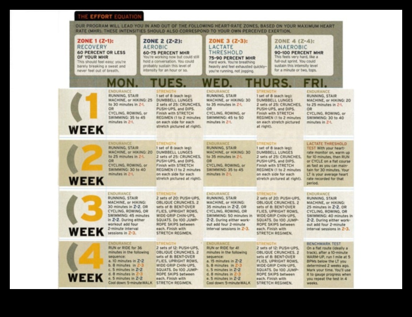 תרגילים דינמיים: אימונים בעלי השפעה רבה כדי להגביר את הסיבולת