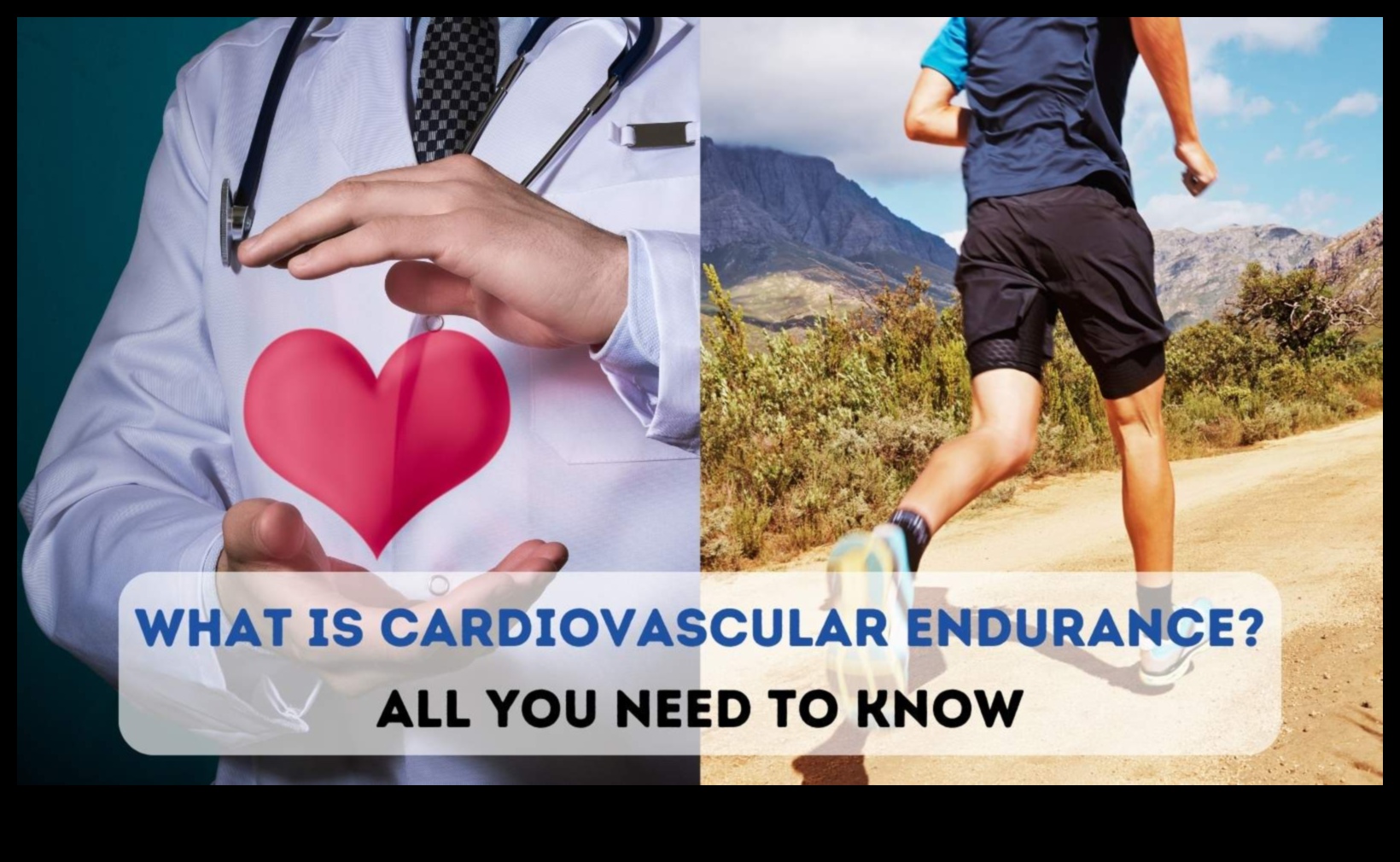 מסע אל לב חזק יותר: פלאי לב וכלי דם נחשפו