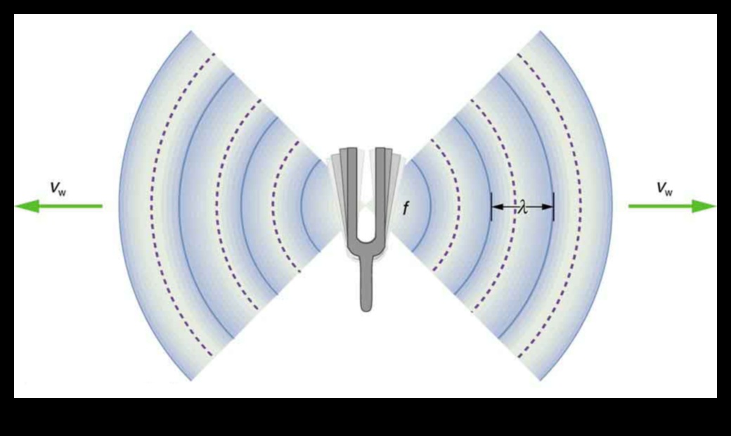 אורך הגל של הנודד: התכוונן לתדרים של עצות נסיעות