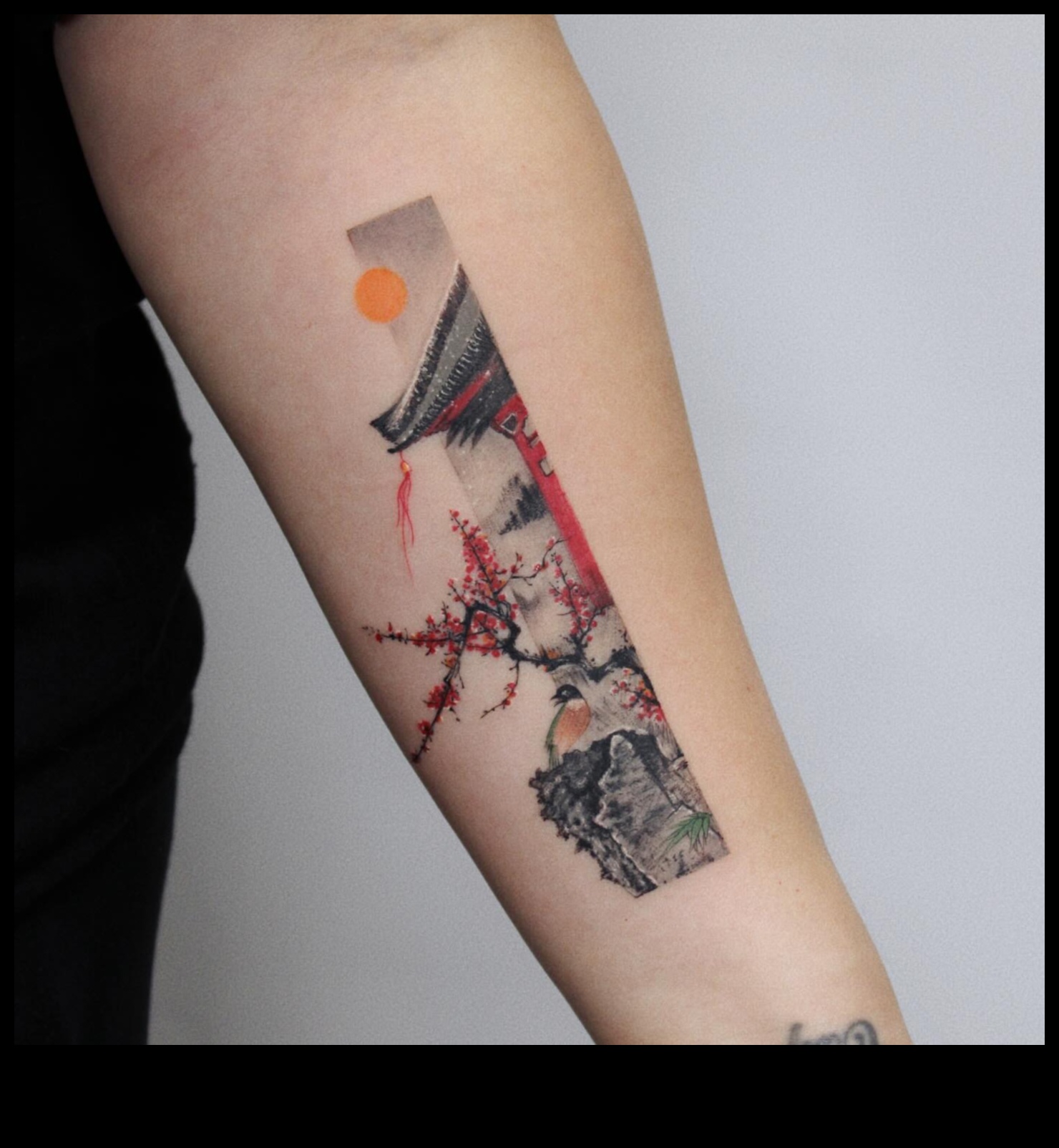 Sakura Ink היופי הנצחי של קעקועים יפניים 4 דיו סאקורה: פריחה לתוך האומנות של קעקועים יפניים