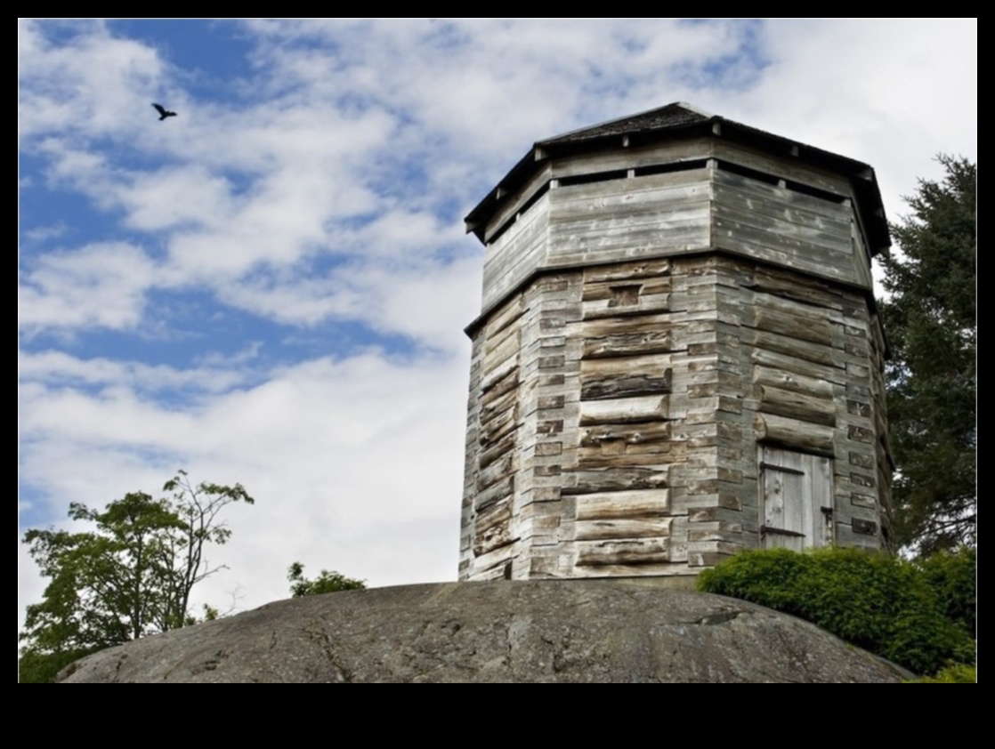 חלוצי המדרכה: יצירת סיור הליכה