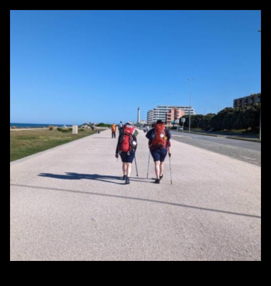 חלוצי המדרכה: יצירת סיור הליכה