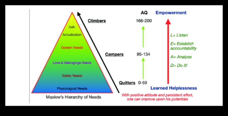 Quest Quotient: חישוב עוצמת ההרפתקאות שלך