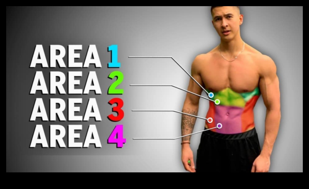 אלכימיה של שרירי הבטן: שינוי החלק האמצעי שלך עם אימונים ממוקדים