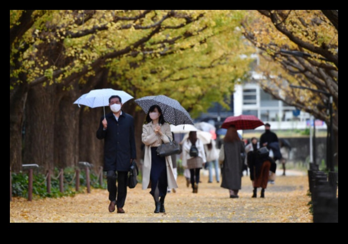 שדרות אבות: טיול ברחובות בעלי משמעות תרבותית