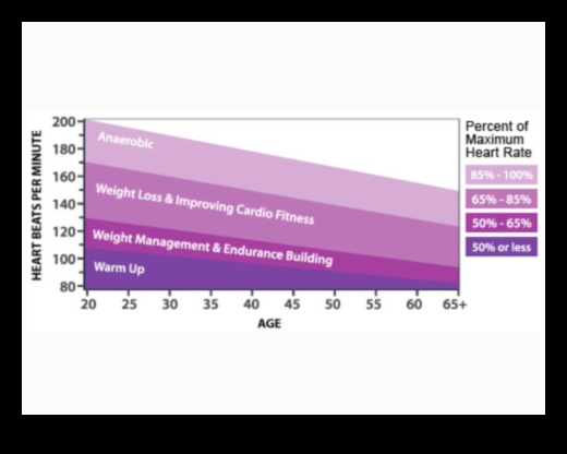 עלייה ודופק: אימונים קרדיווסקולריים לחיוניות הבוקר