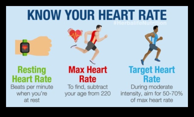 עלייה ודופק: אימונים קרדיווסקולריים לחיוניות הבוקר