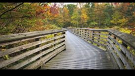 מסלולי עיירה: מדריך מטיילים לאטרקציות מקומיות