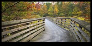 מסלולי עיירה: מדריך מטיילים לאטרקציות מקומיות