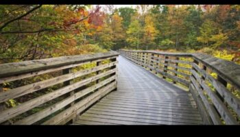 מסלולי עיירה: מדריך מטיילים לאטרקציות מקומיות