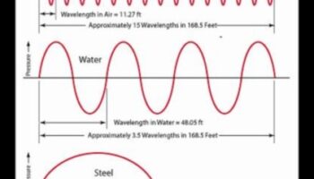 אורך הגל של הנודד: התכוונן לתדרים של עצות נסיעות