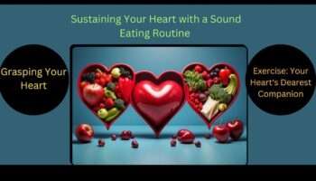 מסע אל לב חזק יותר: פלאי לב וכלי דם נחשפו